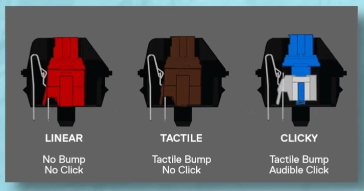 Detailed comparison diagram of linear, tactile, and clicky mechanical keyboard switches showing internal mechanisms, stem movement, and key differences in feel and sound.